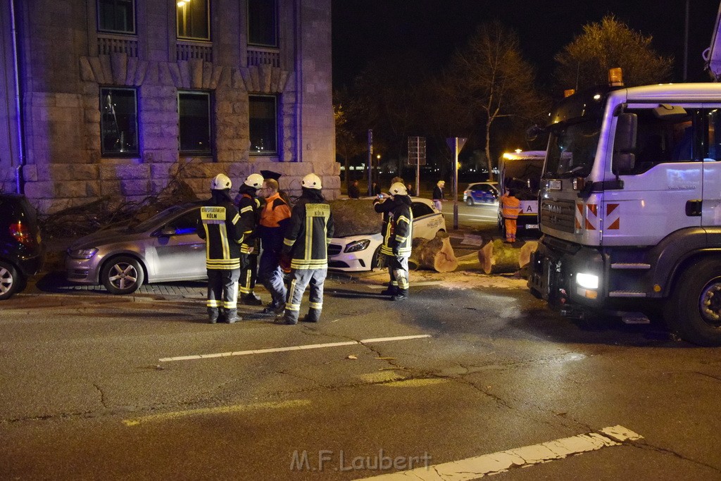 Baum auf PKWs Koeln Mitte Rheinuferstr Goldgasse P098.JPG - Miklos Laubert